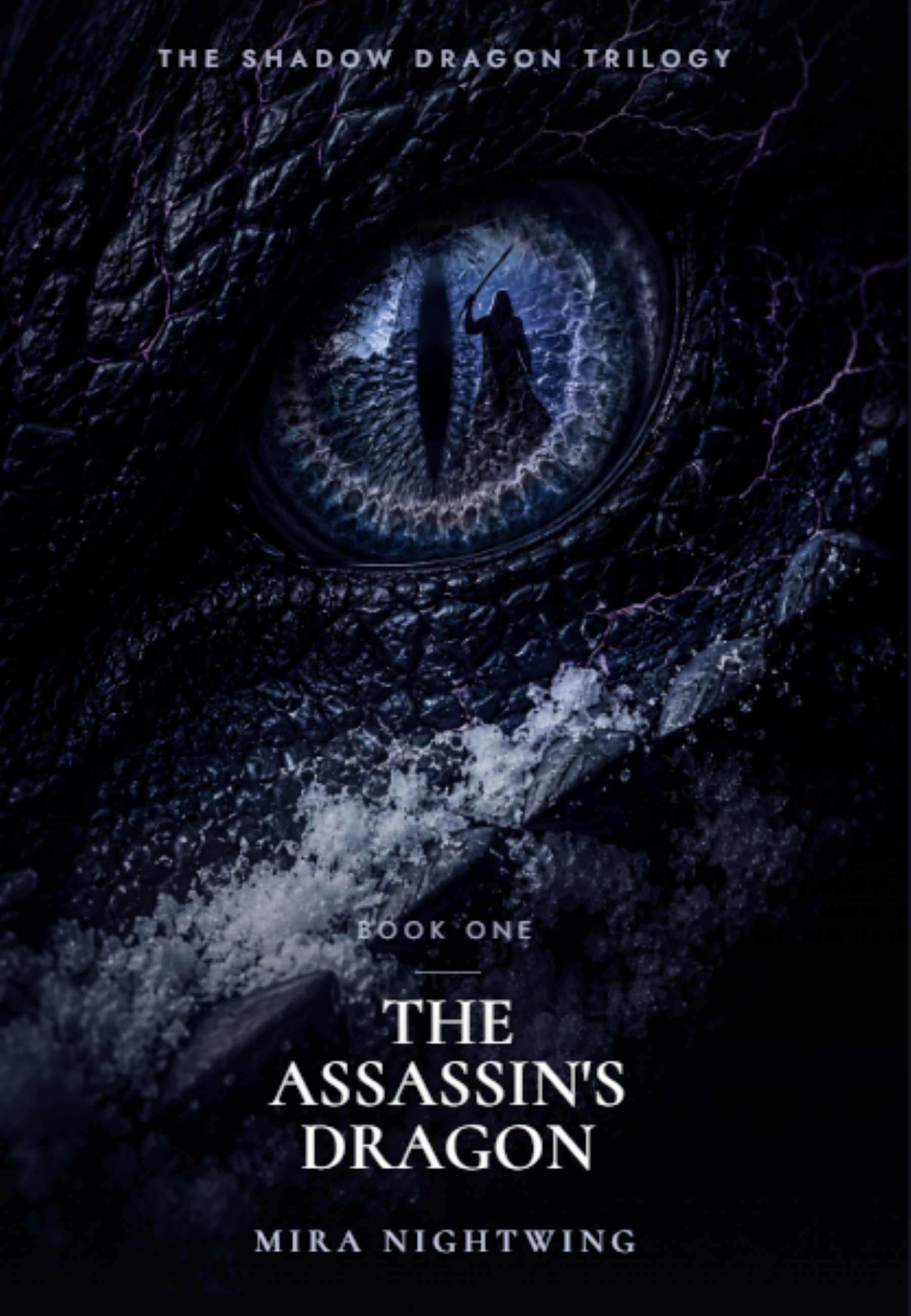The Assassin's Dragon cover — a dragon eye holding a lone figure with a blade